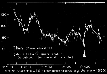 C14-Verlauf nach Tollmann